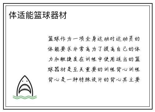 体适能篮球器材